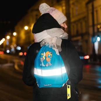 Reflective Bag