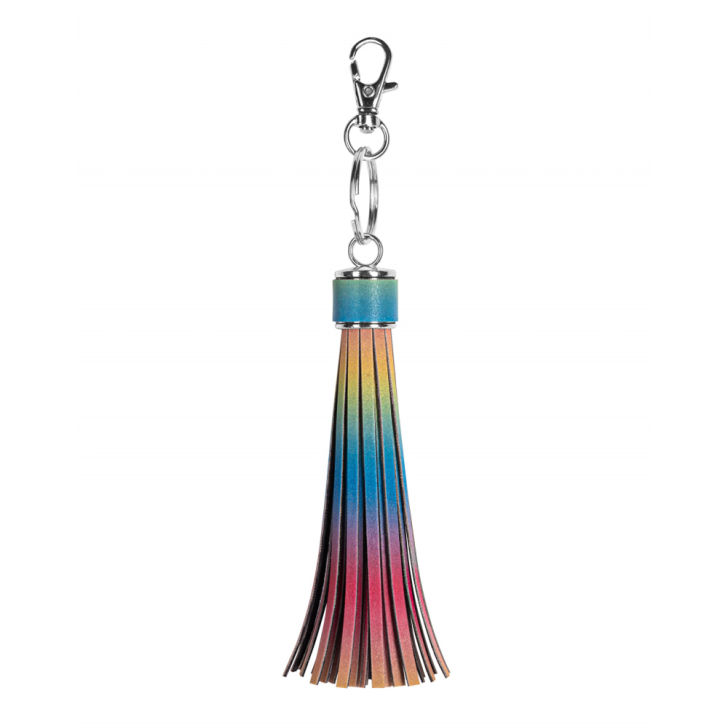 Reflective Rainbow Tassel